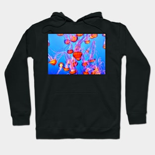 JELLYFISH SCHOOL VIBRANT IN THE BLUE OCEAN DESIGN Hoodie